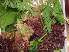 -南门四季铜锅涮肉(大屯·北苑店)