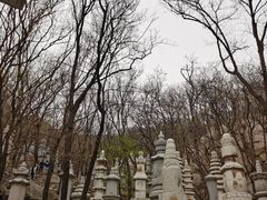 -天津盘山风景名胜区
