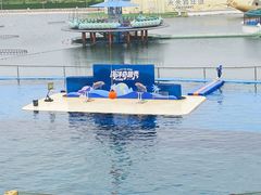 -秦皇岛乐岛海洋王国