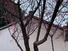 -尚贤河湿地