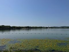 -渤公岛生态公园