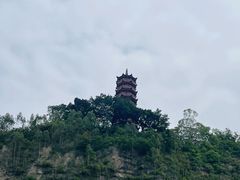 -南沙蒲洲花园