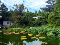 -国家植物园南园