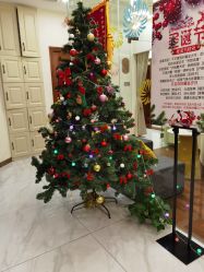 -芳朵美容养生SPA