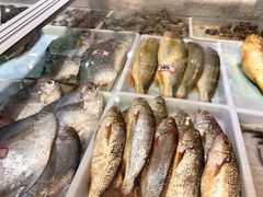 -闽鲜森霞浦海鲜城