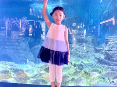 -烟台海昌鲸鲨海洋公园