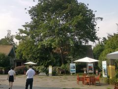 -老房子金沙元年川菜食府·花园餐厅(金沙店)