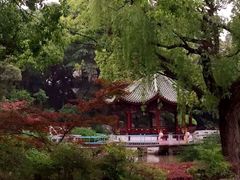 -申粤轩酒楼·三十年粤菜经典(丁香花园店)