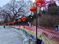 -北陵公园