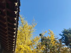 -金州副都统衙门博物馆