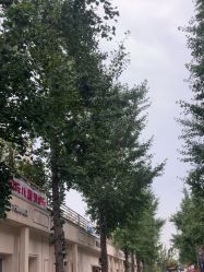 -爱儿美儿童摄影亲子馆(五路居店)