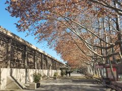 -秦始皇帝陵博物院(兵马俑)