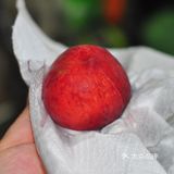 紫苏桃姜🍑
