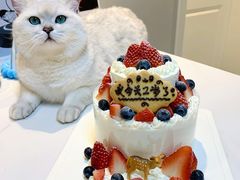 -EnergyCake蛋糕理想国