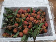 -同济大学(嘉定校区)