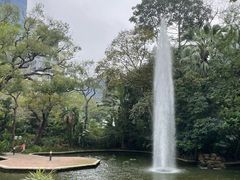 -九龙公园