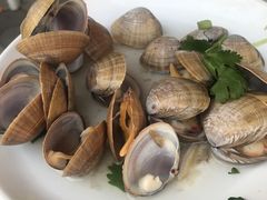 水煮黄蚬子-锋味海鲜菜馆