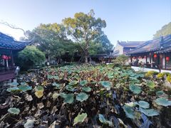 -上海醉白池公园