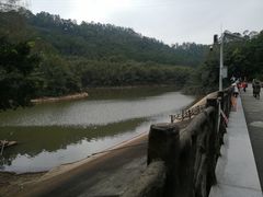 -滴水岩森林公园
