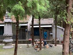 -四门塔风景区