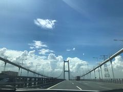 -霞涌市场海鲜摆卖区