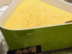 -广州奥园喜来登酒店