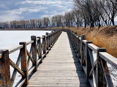 -野鸭湖国家湿地公园