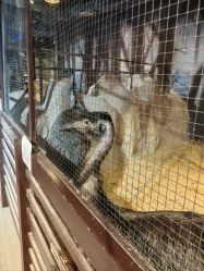 -酷嗒动物文化乐园(cutezoo西溪乐天城店)