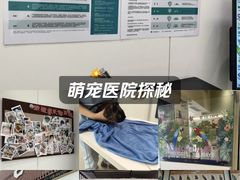-立德异宠动物医院.兔鸟爬.内窥镜(天河店)