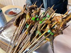 鳝鱼-晓靖轩烧烤(沙河风情店)
