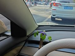 -永記粤菜·五指毛桃花雕鸡煲(九亭店)