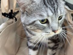 -美联众合动物医院·24h转诊中心