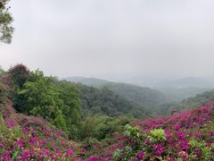 -广州市白云山风景名胜区
