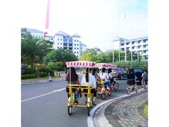 -河源万绿湖美思威尔顿酒店