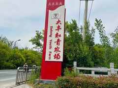 -大丰知青农场