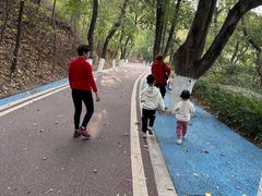 -攀枝花公园