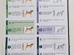 -中农国际动物医院24小时·猫科·骨科·急重症中心