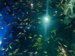 -成都浩海立方海洋公园