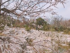 -云龙山
