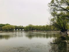 -青城公园