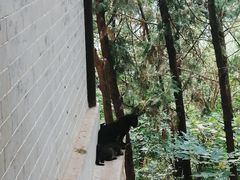 -云龙山