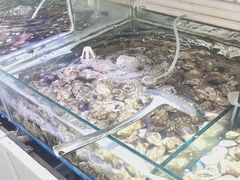 -四海蒸鲜蒸汽海鲜自助(北戴河店)