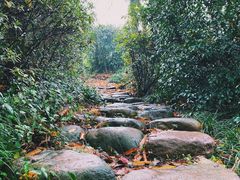 -中国茶叶博物馆(双峰馆区)