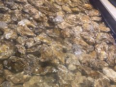 -海天盛宴新派海鲜自助餐厅(群力店)