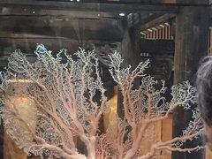 -绮丽珊瑚(台北101旗舰门市店)