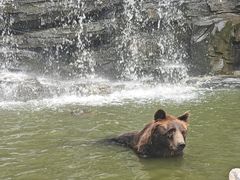 -北京野生动物园