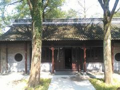 -镇江市南山风景名胜区竹林景区