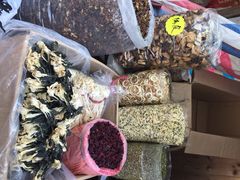 iphone_upload_pic-海鸥岛