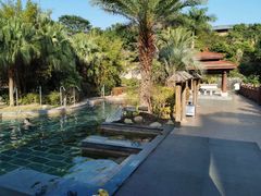 -罗浮山嘉宝田森林温泉度假酒店