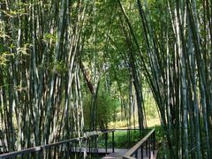 -云溪植物园
